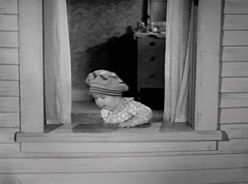 tumblr_nrjsv364B11ssw1h1o1_500.gif