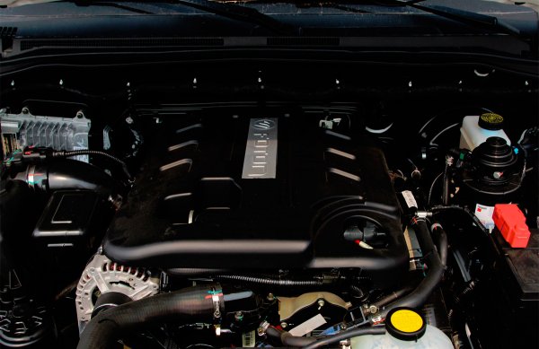 Sauvana-motor.jpg