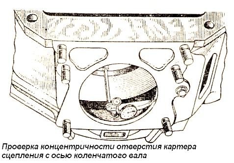 63.JPG
