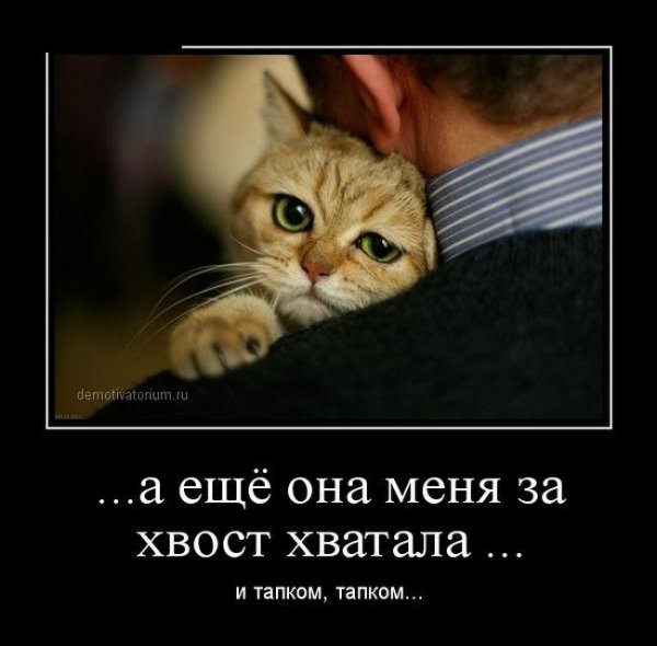 1398391239_02.jpg