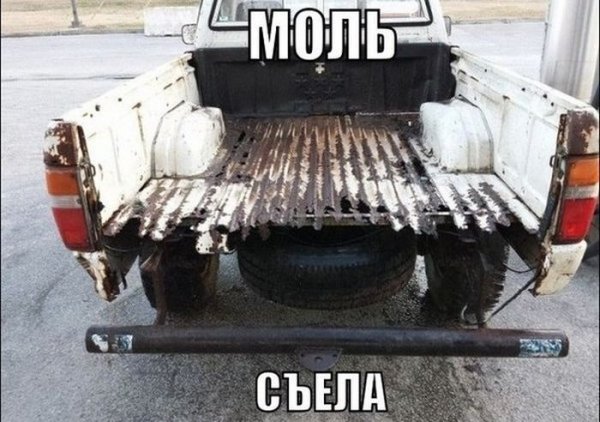 1448812819_01.jpg