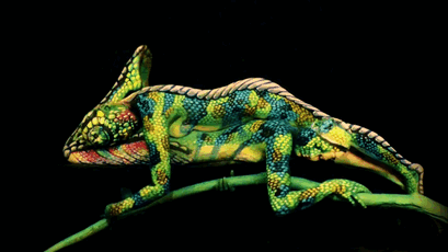 optical_illusion_02.gif
