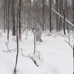 1482209957197630533.gif