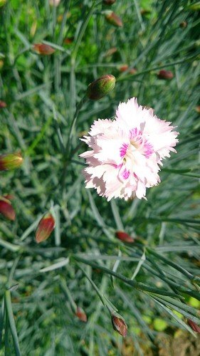 d5899c94989ab682c666023f6ec7dd66.jpg