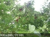 07fdcd021aebdf2aac65614d7b3464c6.jpeg