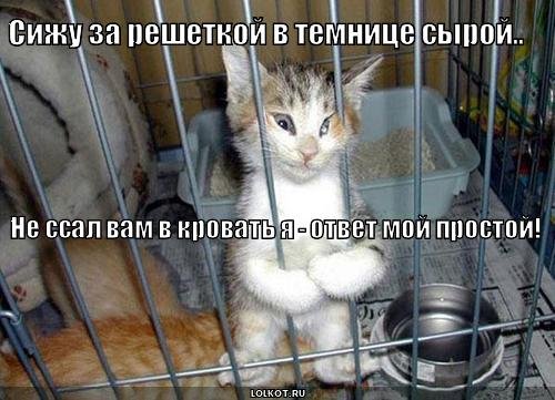 v-temnitse-syroy_1279304166.jpg