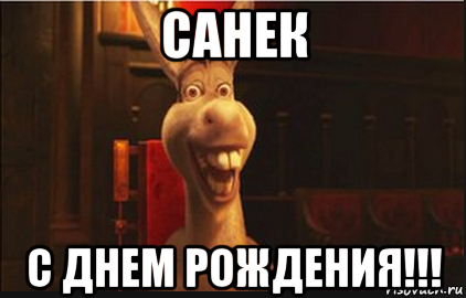 osel-iz-shreka_67018091_orig_.png