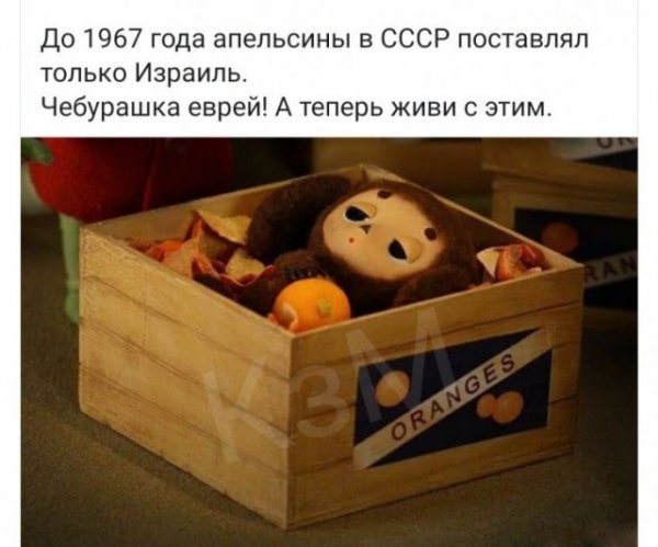 13552027.jpg