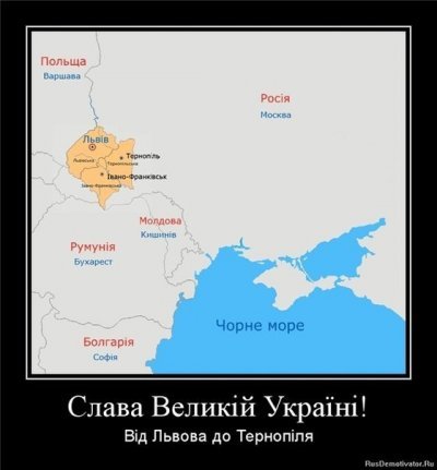 13950111309262.jpg