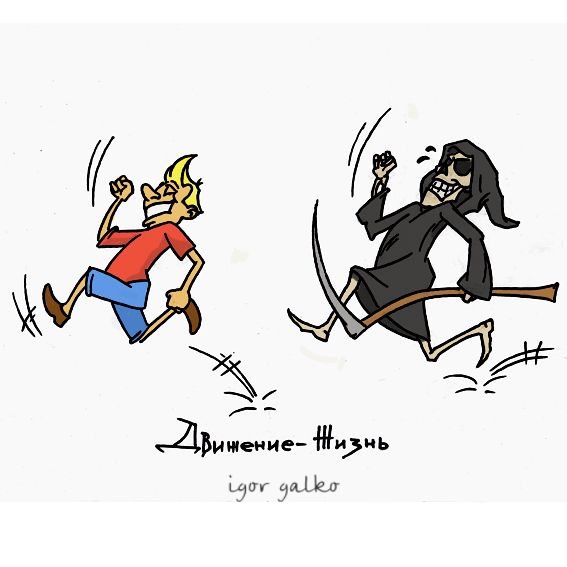 dvizhenie-zhizn.jpg