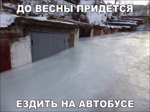1453386463_avtoprikoly-17.jpg