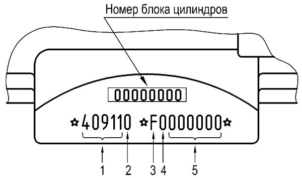 zmz409_18.jpg