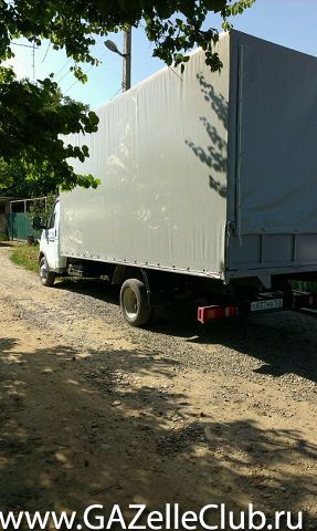 газелексус