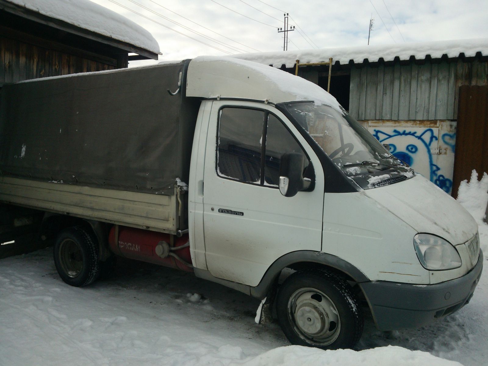 Моя Газелька