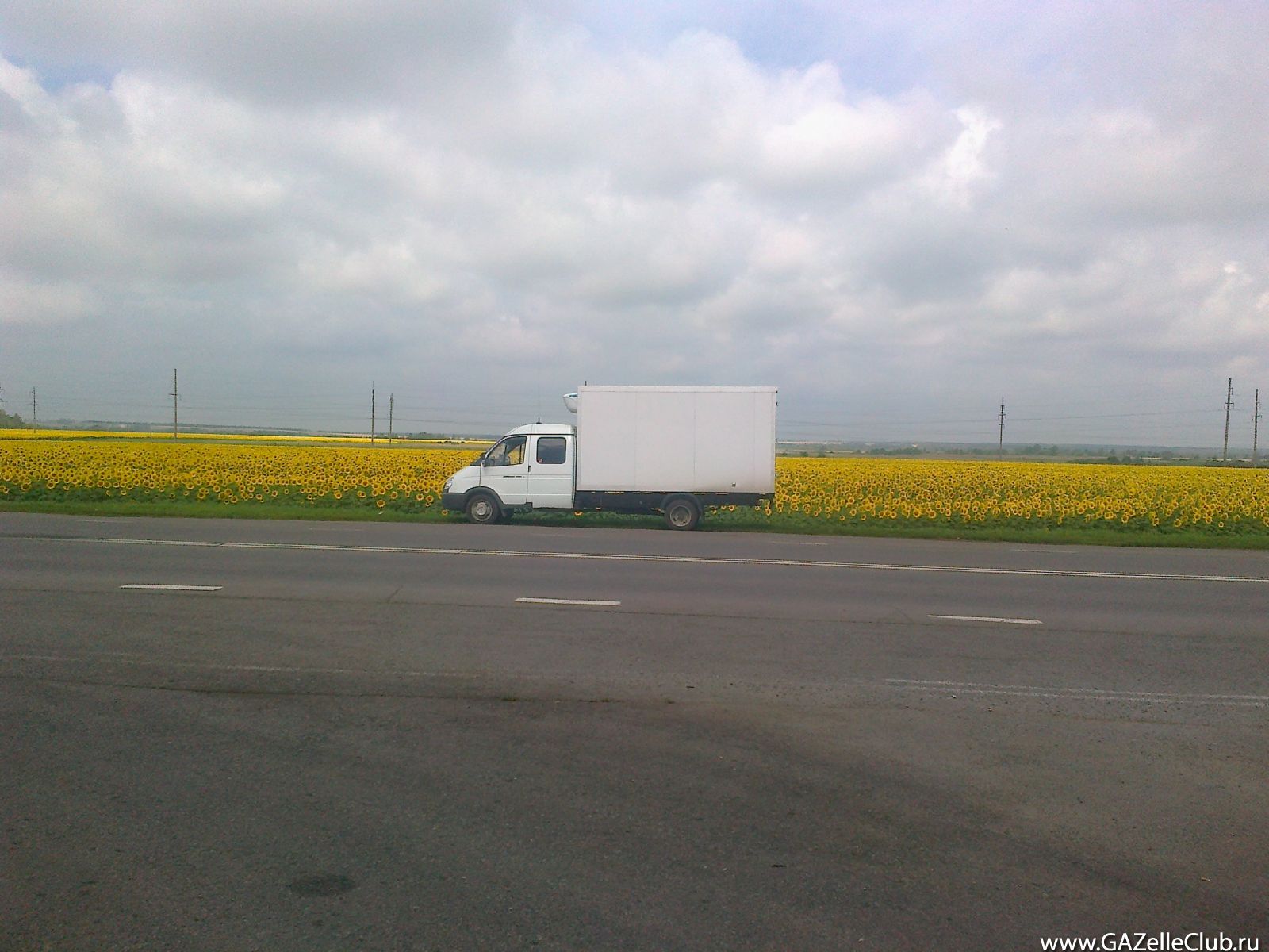 Газелька