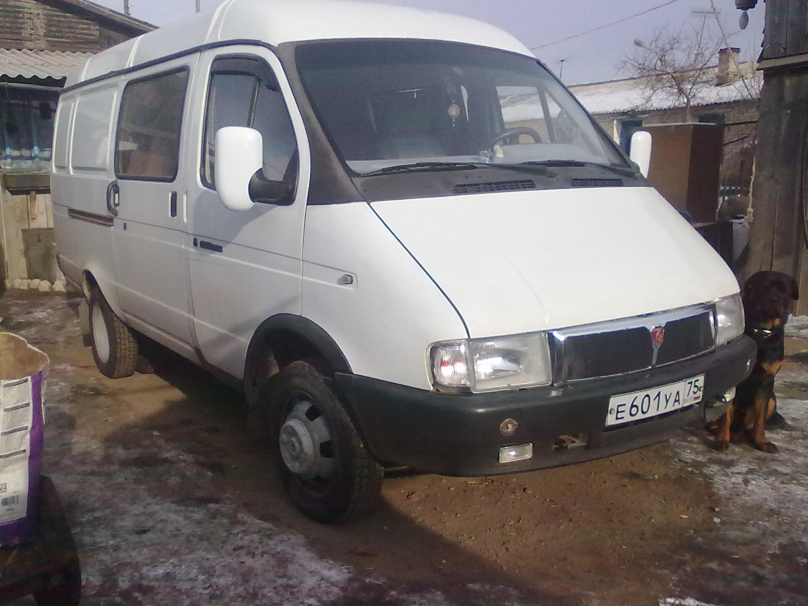 моя Газелька 270пяточка