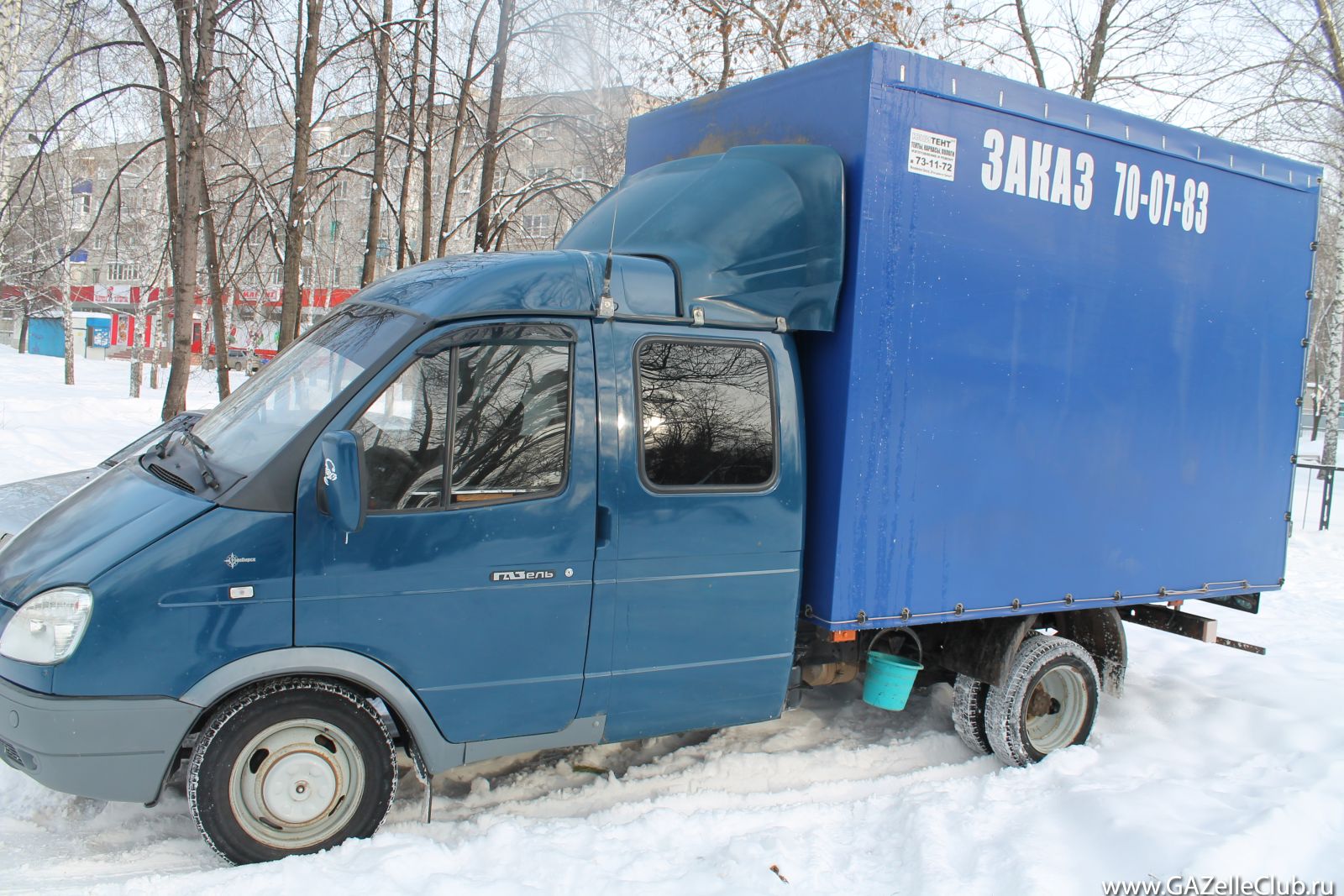пони