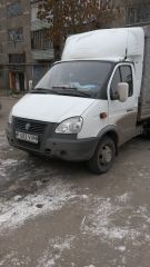 Газелюшка