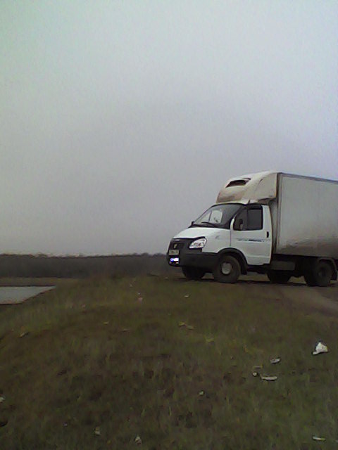 газель