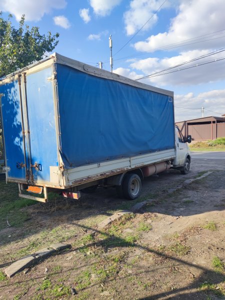 Газель