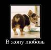 post-58194-0-37243800-1424588926_thumb.jpg