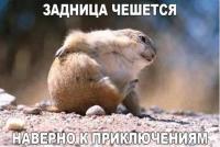 post-75500-0-18212200-1487164727_thumb.jpg