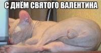 post-75500-0-20177800-1486869099_thumb.jpg
