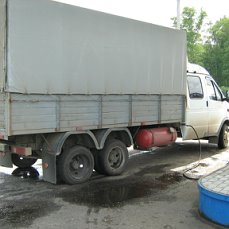 газель с ленивцем