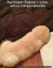 post-82903-0-90333300-1435658092_thumb.jpg