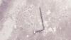 post-62485-0-08254400-1467399445_thumb.jpg