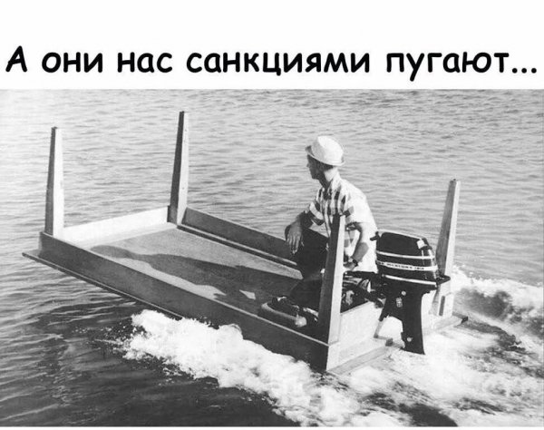 vK6SVqnoFK.jpg