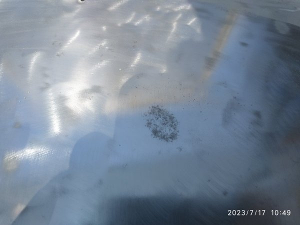 IMG_20230717_104942.jpg