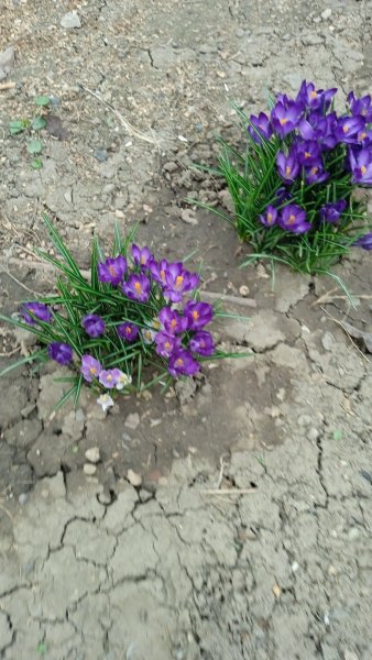 IMG-20250314-WA0007.jpeg
