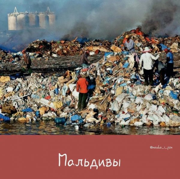 Снимок экрана 2025-04-04 134311.jpg
