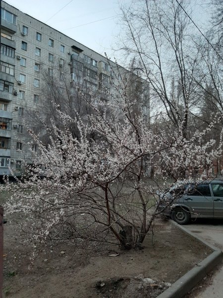 20250402_184028.jpg