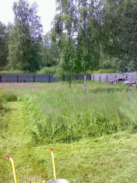 12062007438.jpg