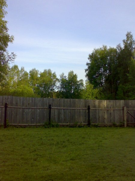 12062007492.jpg