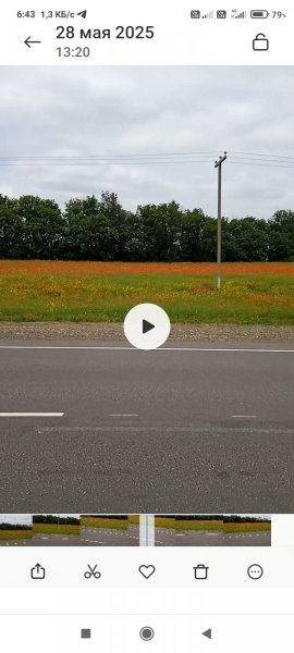 Screenshot_2025-05-29-06-43-14-433_com.miui.gallery.jpg