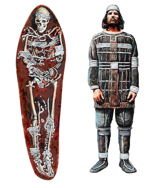 scale_1200.png