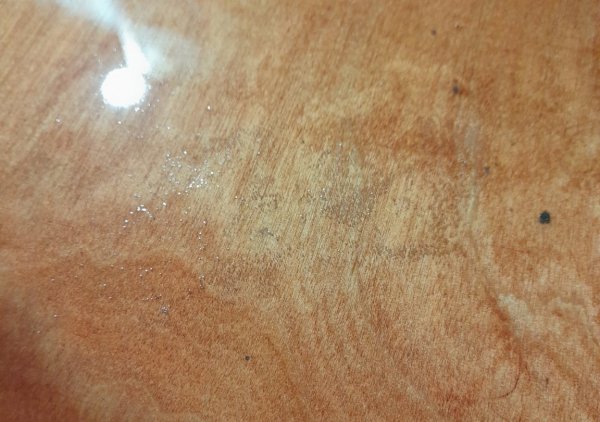 20250615_200409.thumb.jpg.037c49e4bf2fa1b82f2b61ed6c4c8912.jpg