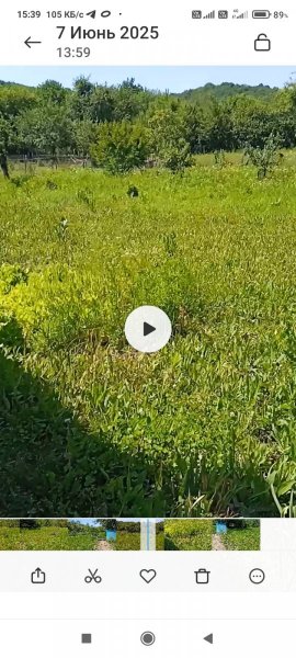 Screenshot_2025-06-11-15-39-01-816_com_miui.gallery.thumb.jpg.4f5fedd32bda70b0dccec5877162714e.jpg
