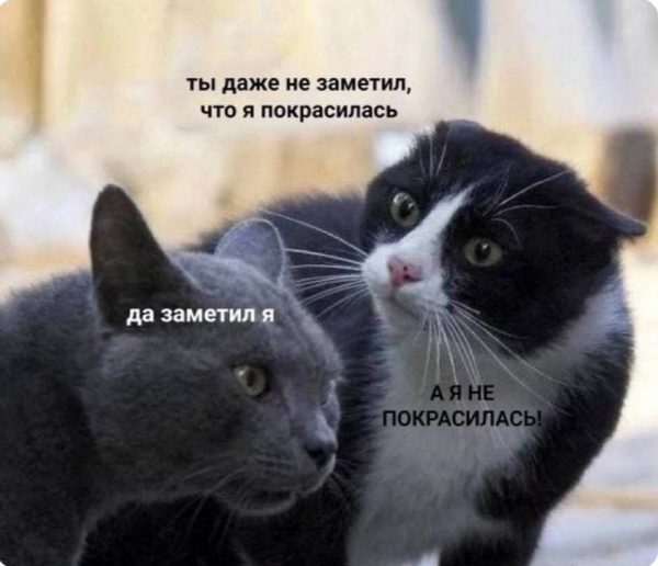 image.thumb.png.4a35664bbd3286c03d283f9d0cc6b37c.png