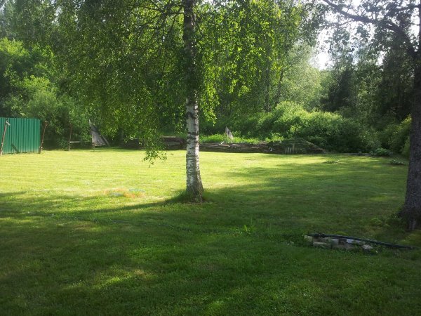 20250628_162547.jpg
