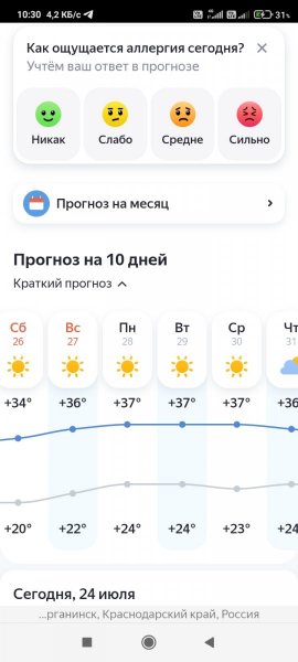 Screenshot_2025-07-24-10-30-58-338_com.yandex.browser.jpg