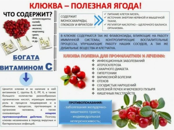 Снимок экрана 2025-11-04 155322.jpg