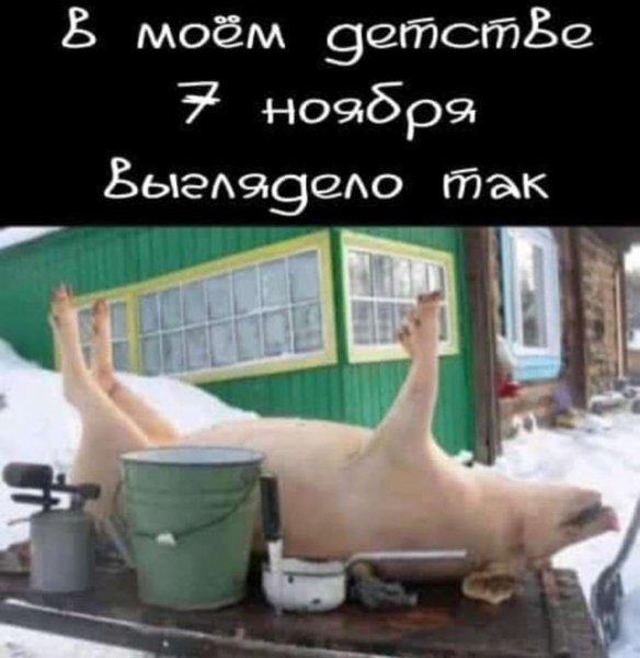 Свинья.jpg
