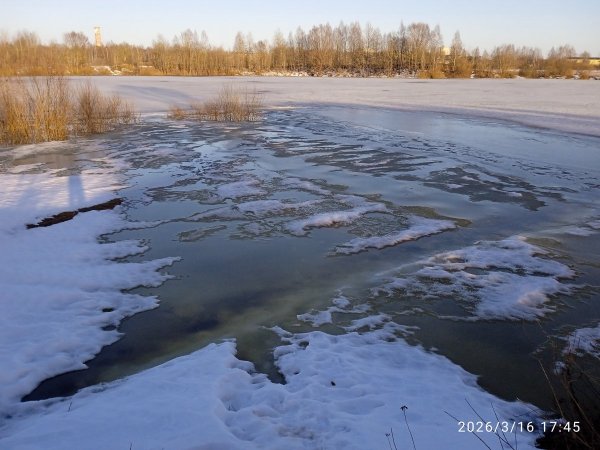 2026-03-16 17-45-42.JPG