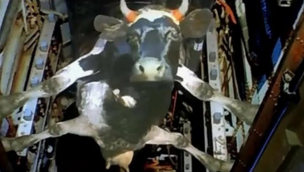 Снимок экрана 2026-04-02 152923.jpg