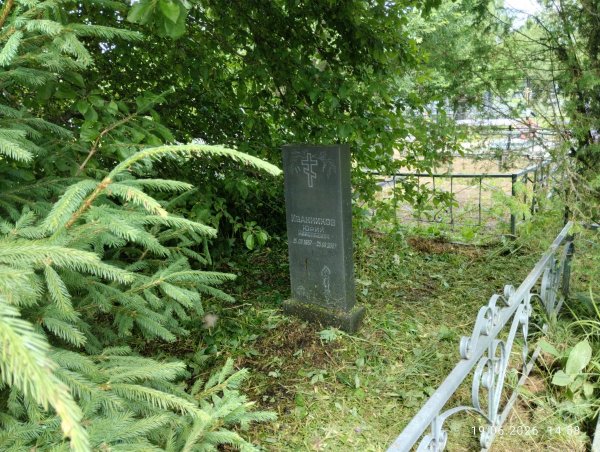 2026-06-19 14-58-15.JPG