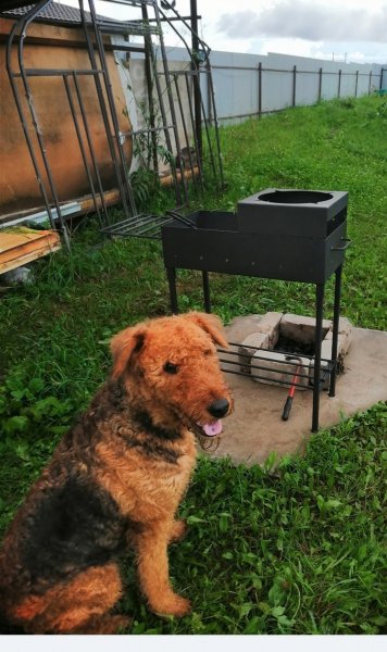 Screenshot_20260904_155833.thumb.jpg.5cef8892bb13e43f8dace8ac4e41274c.jpg
